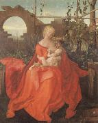 Albrecht Durer The Madonna with the Iris imitator of Albrecht Durer oil painting on canvas